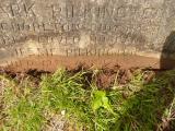 image of grave number 808884